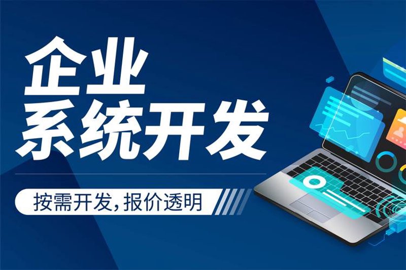 助力企业管理升级：选择最适合的ERP系统开发